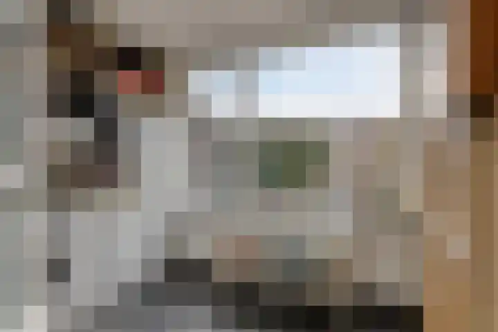 Koningin Julianalaan 30 Arnemuiden thumbnail 24