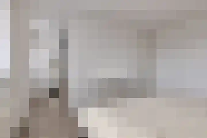 Koningin Julianalaan 30 Arnemuiden thumbnail 27