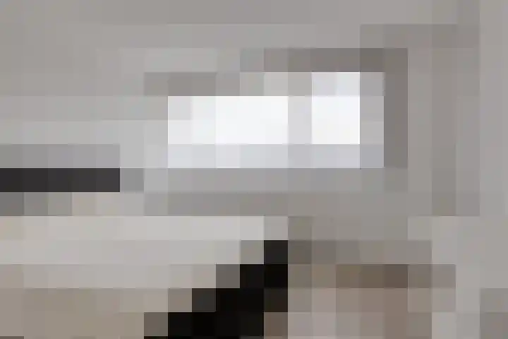 Koningin Julianalaan 30 Arnemuiden thumbnail 28