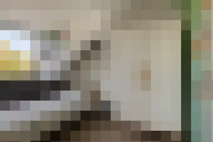 Koningin Julianalaan 30 Arnemuiden thumbnail 38