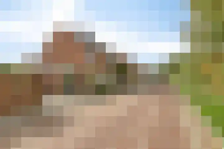 Koningin Julianalaan 30 Arnemuiden thumbnail 4