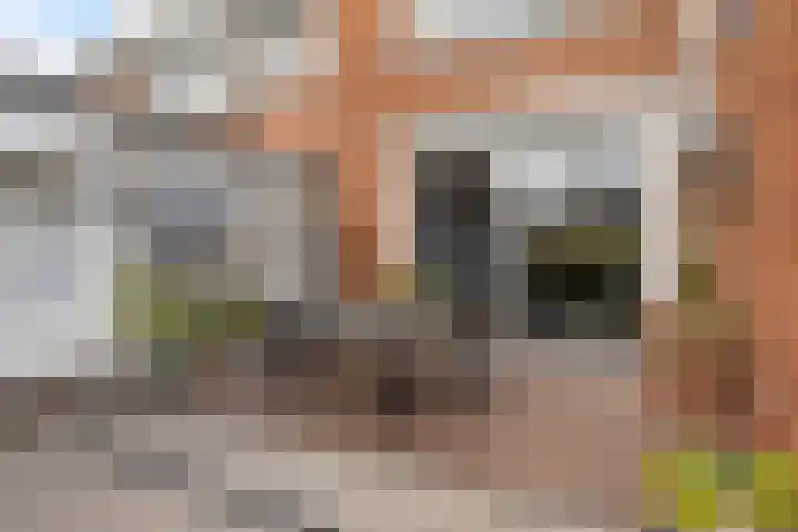 Koningin Julianalaan 30 Arnemuiden thumbnail 41
