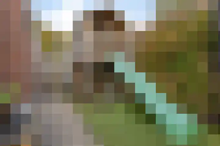 Koningin Julianalaan 30 Arnemuiden thumbnail 46