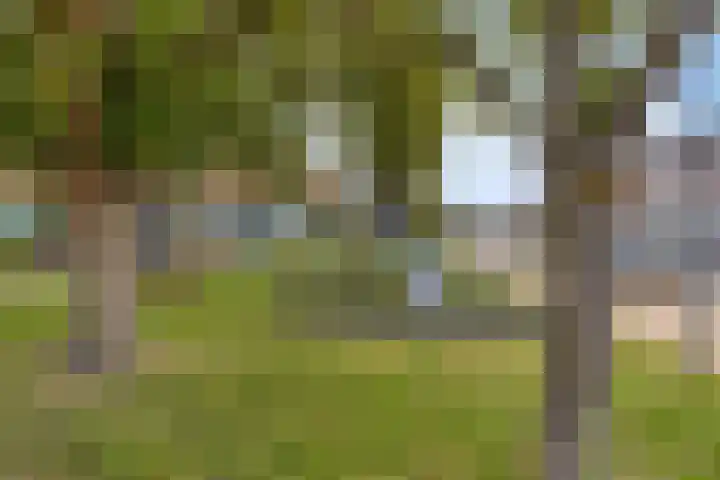Koningin Julianalaan 30 Arnemuiden thumbnail 51