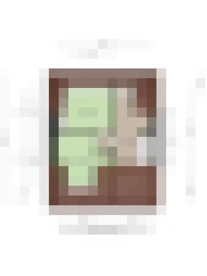 Koningin Julianalaan 30 Arnemuiden thumbnail 54