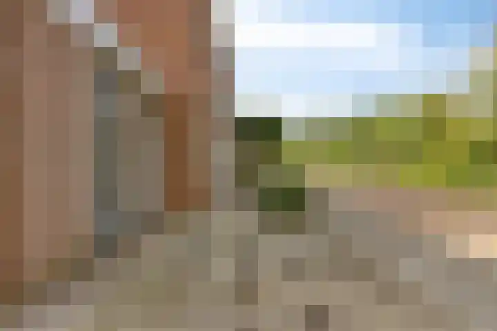 Koningin Julianalaan 30 Arnemuiden thumbnail 7