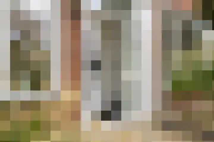 Koningin Julianalaan 30 Arnemuiden thumbnail 8