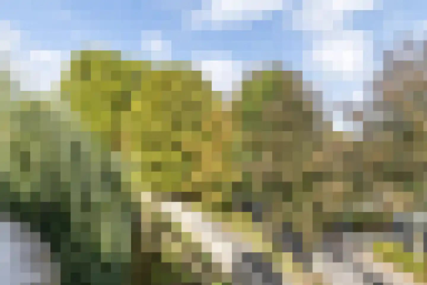 Koningin Julianalaan 30 Valkenburg thumbnail 29