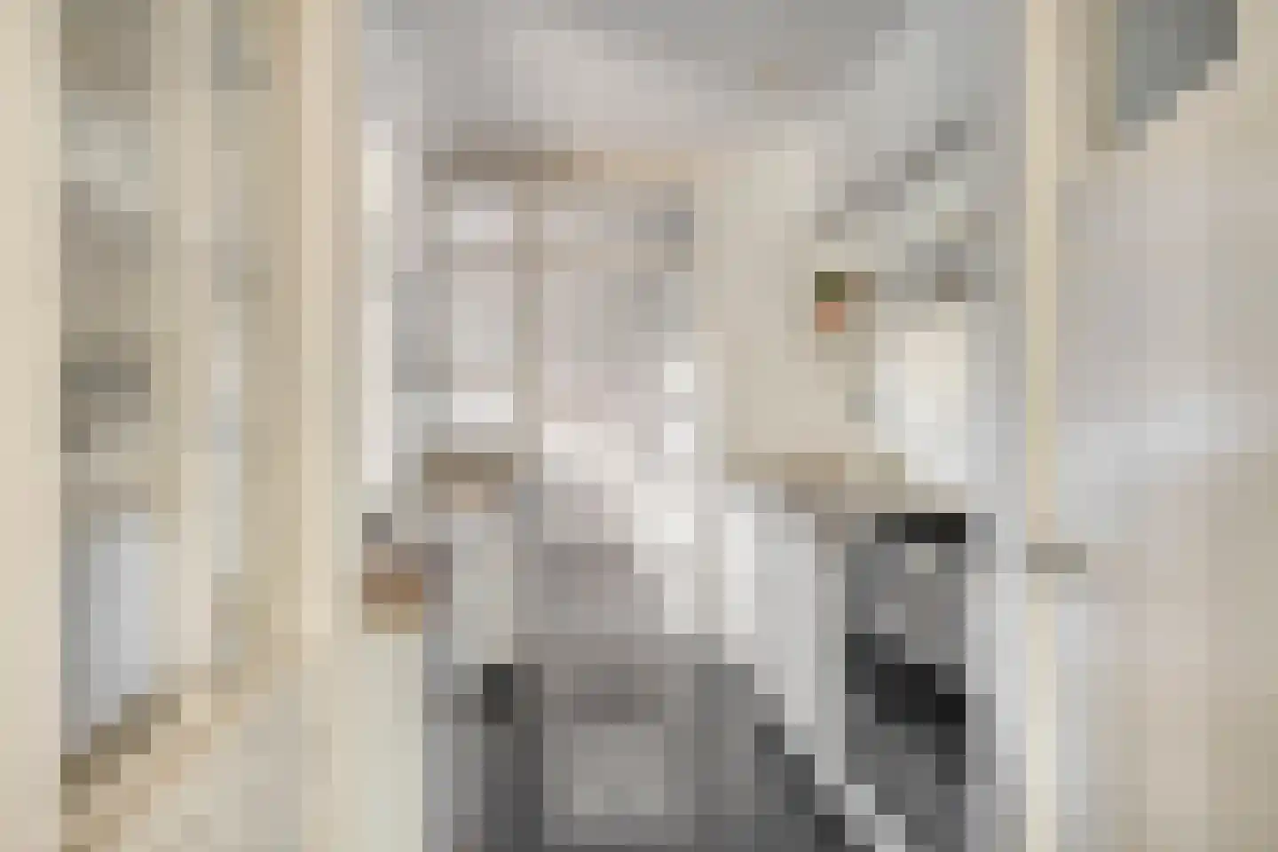 Koningin Julianalaan 31 Zutphen thumbnail 15