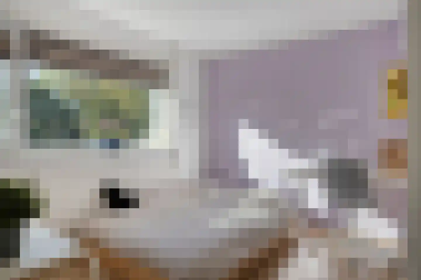 Koningin Julianalaan 31 Zutphen thumbnail 32