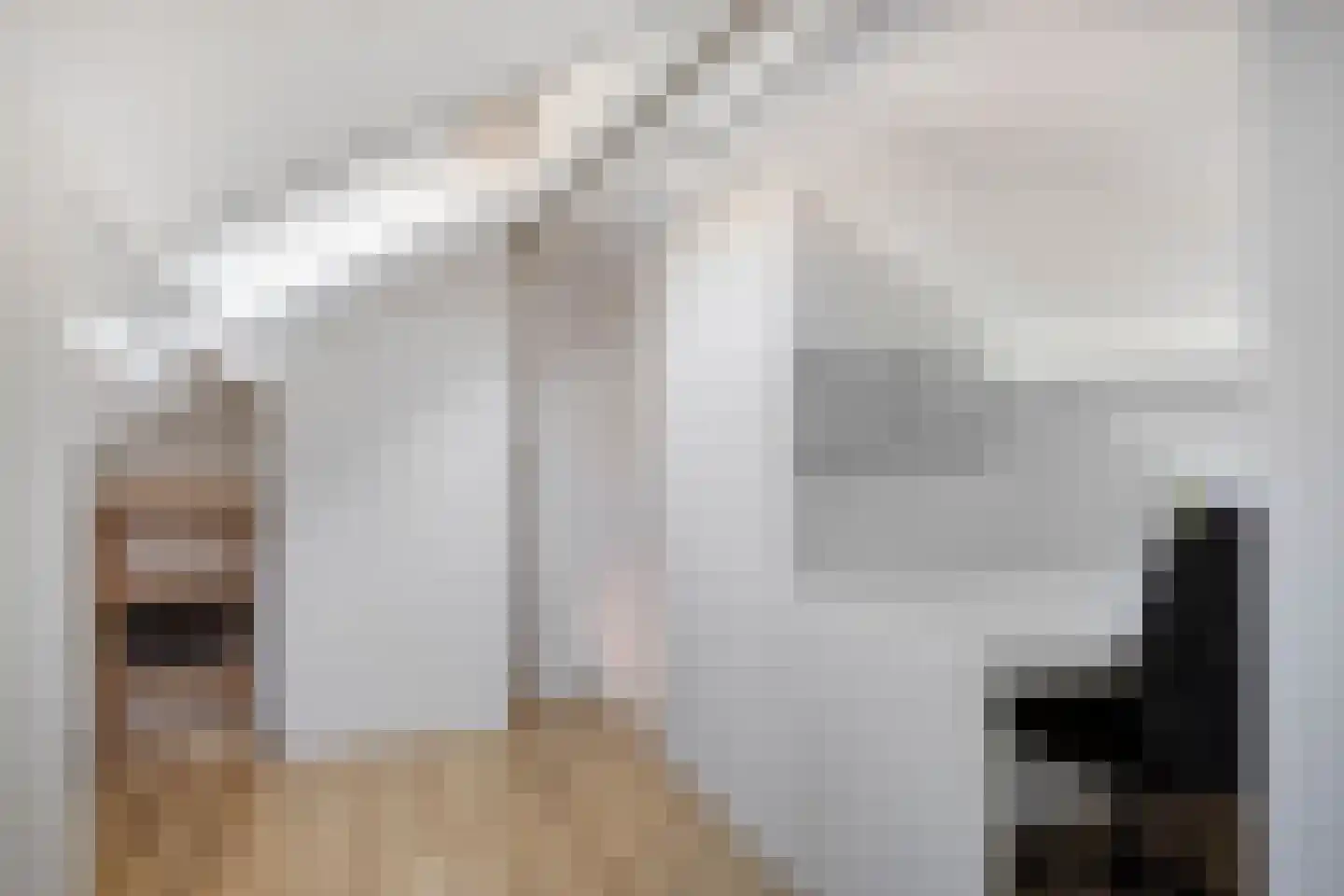 Koningin Julianalaan 31 Zutphen thumbnail 35