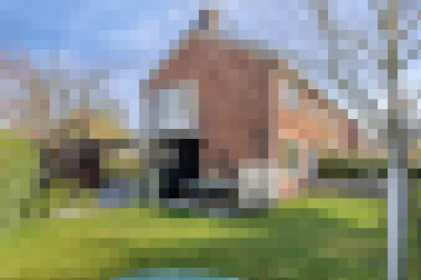 Koningin Julianalaan 31 Zutphen thumbnail 38