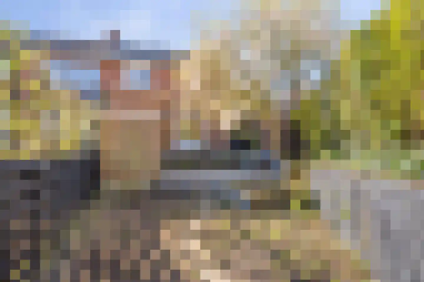 Koningin Julianalaan 31 Zutphen thumbnail 41