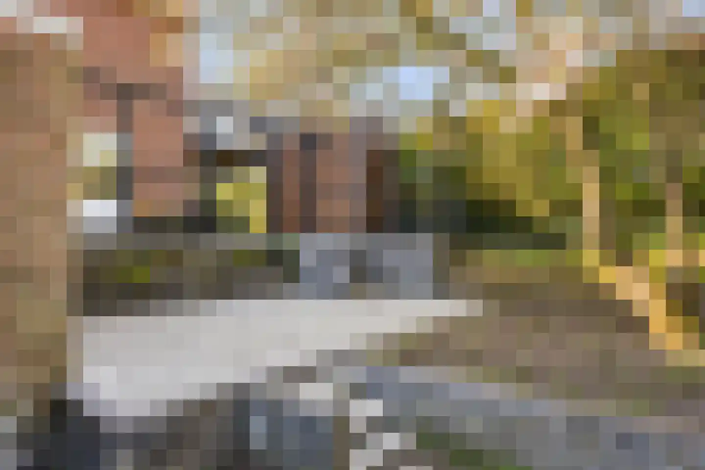 Koningin Julianalaan 31 Zutphen thumbnail 42