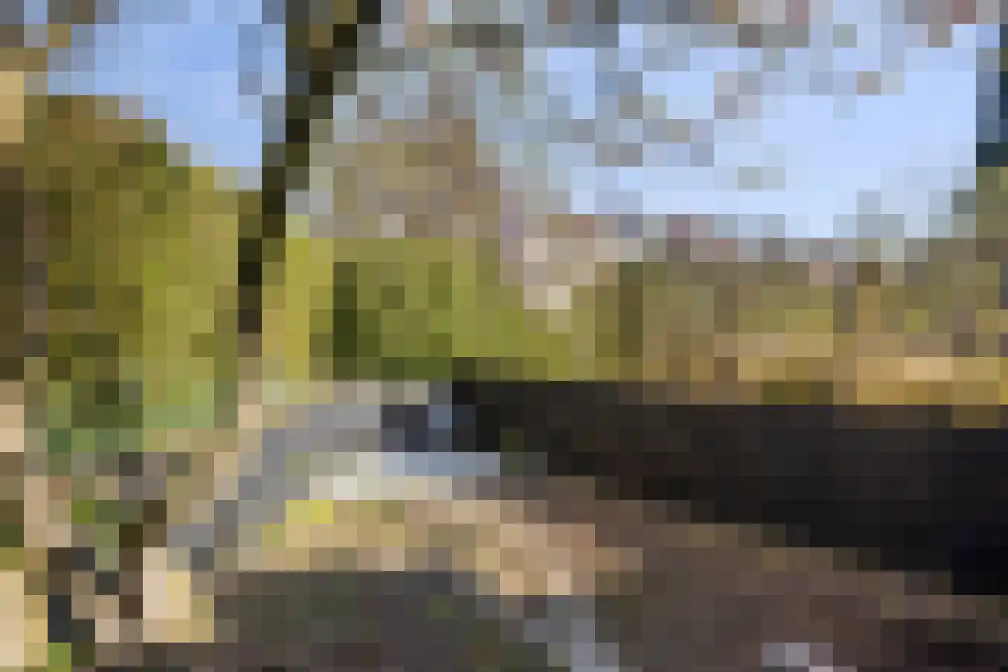 Koningin Julianalaan 31 Zutphen thumbnail 44