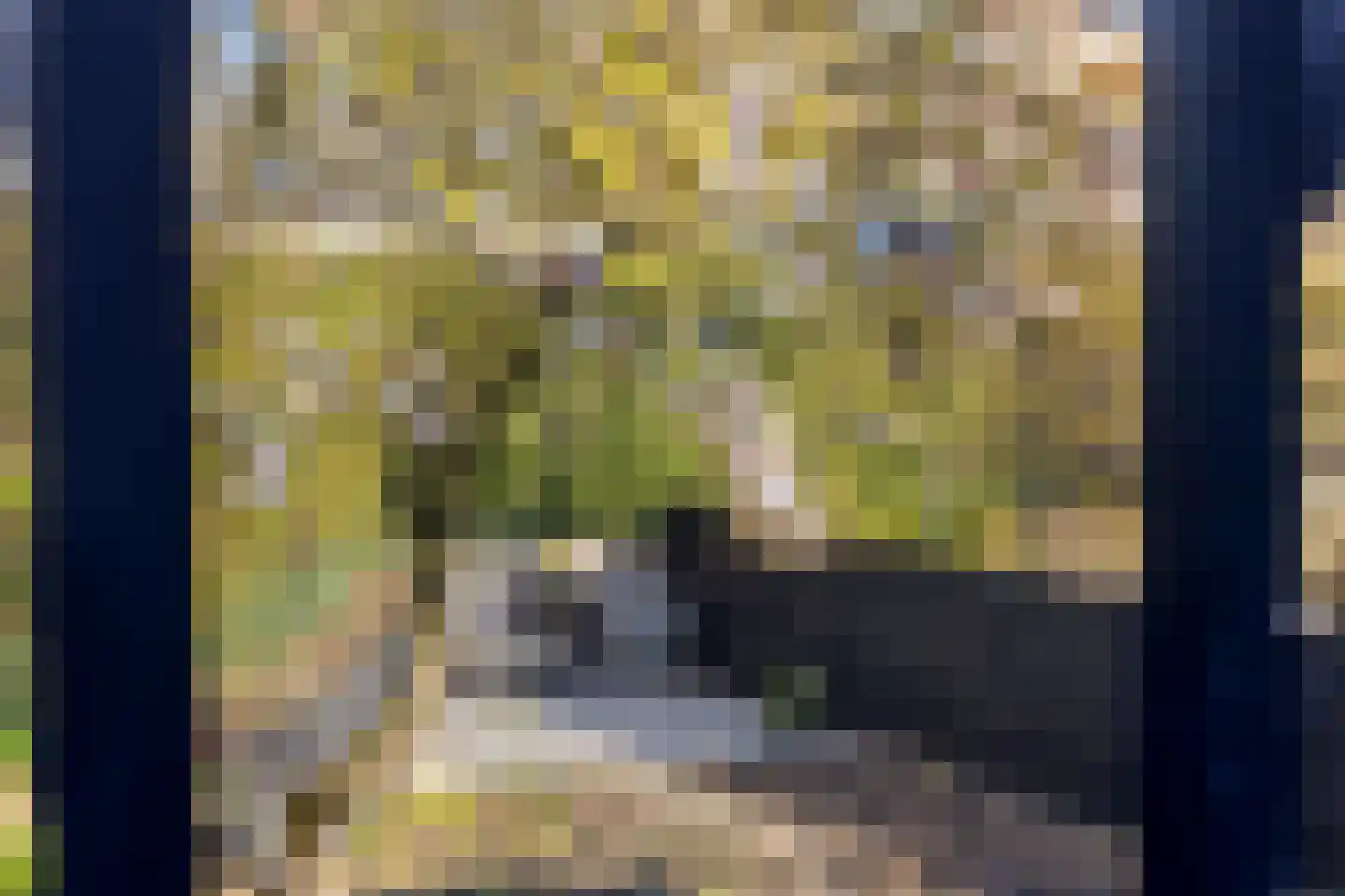 Koningin Julianalaan 31 Zutphen thumbnail 45