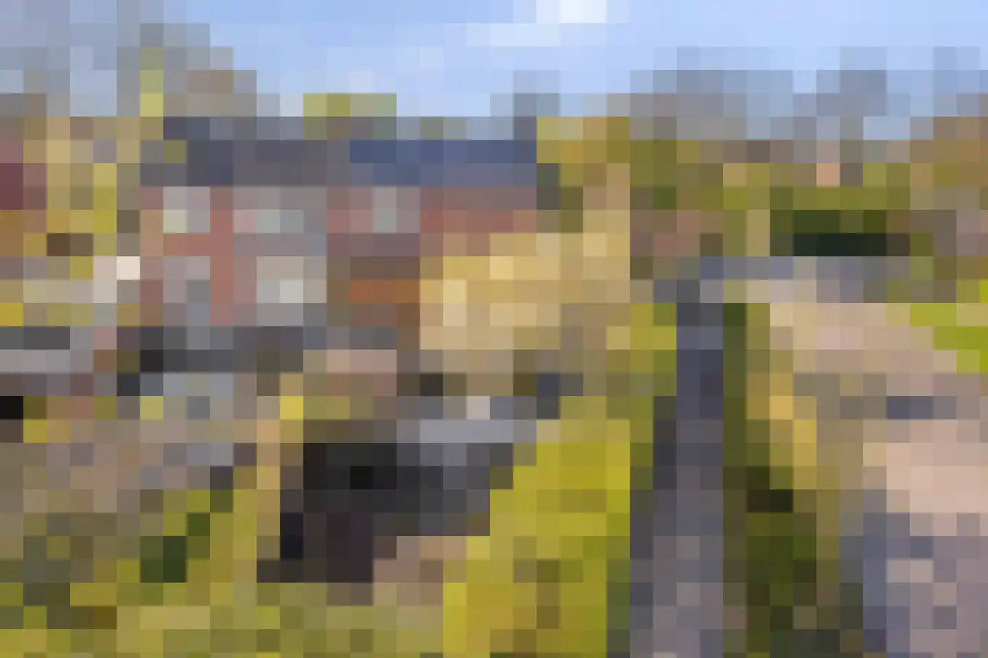 Koningin Julianalaan 31 Zutphen thumbnail 47