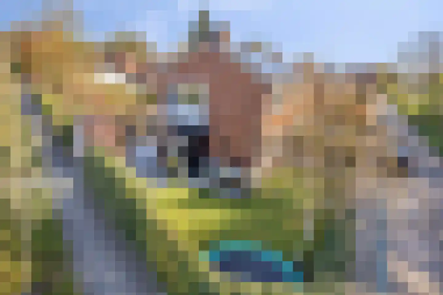 Koningin Julianalaan 31 Zutphen thumbnail 48