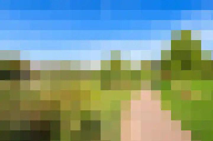 Koningin Julianalaan 331 Voorburg thumbnail 35