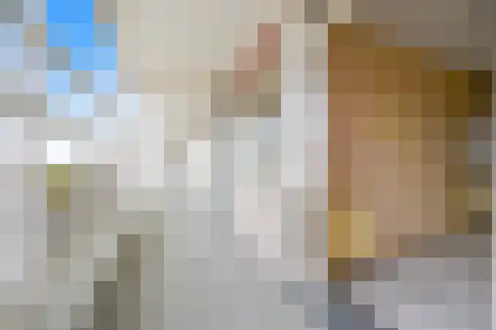 Koningin Julianalaan 331 Voorburg thumbnail 5