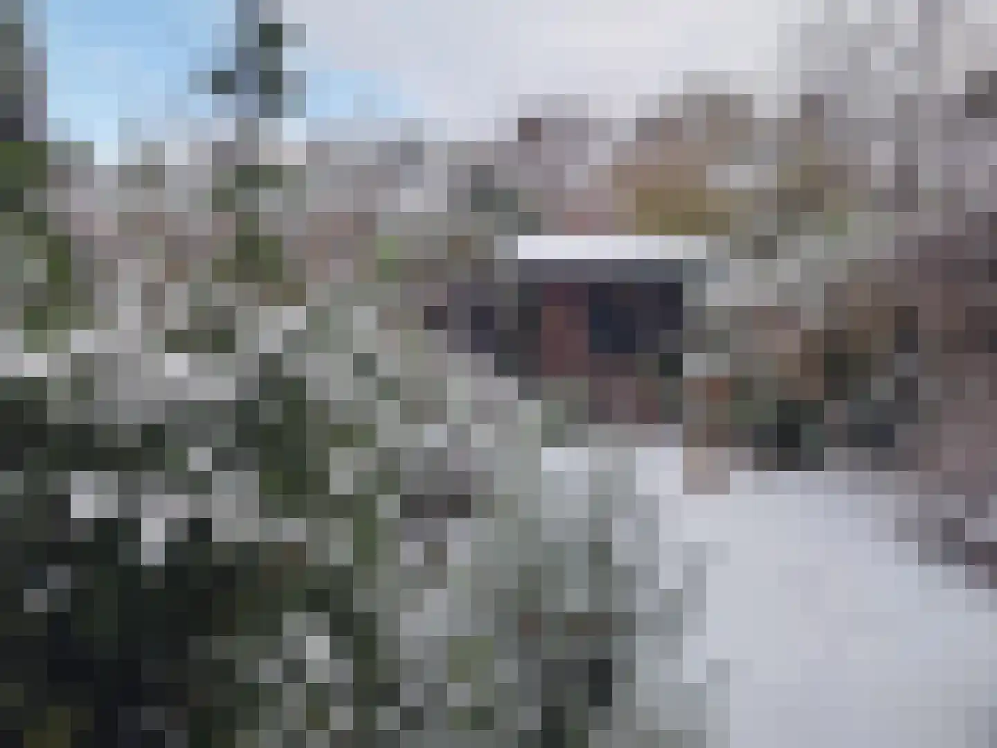 Koningin Julianalaan 35 Voorburg thumbnail 23