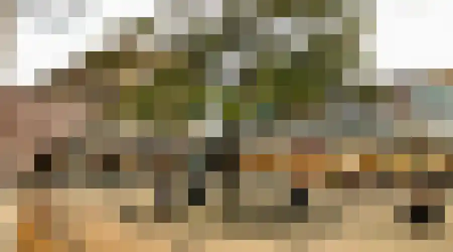 Koningin Julianalaan 35 Voorburg thumbnail 57