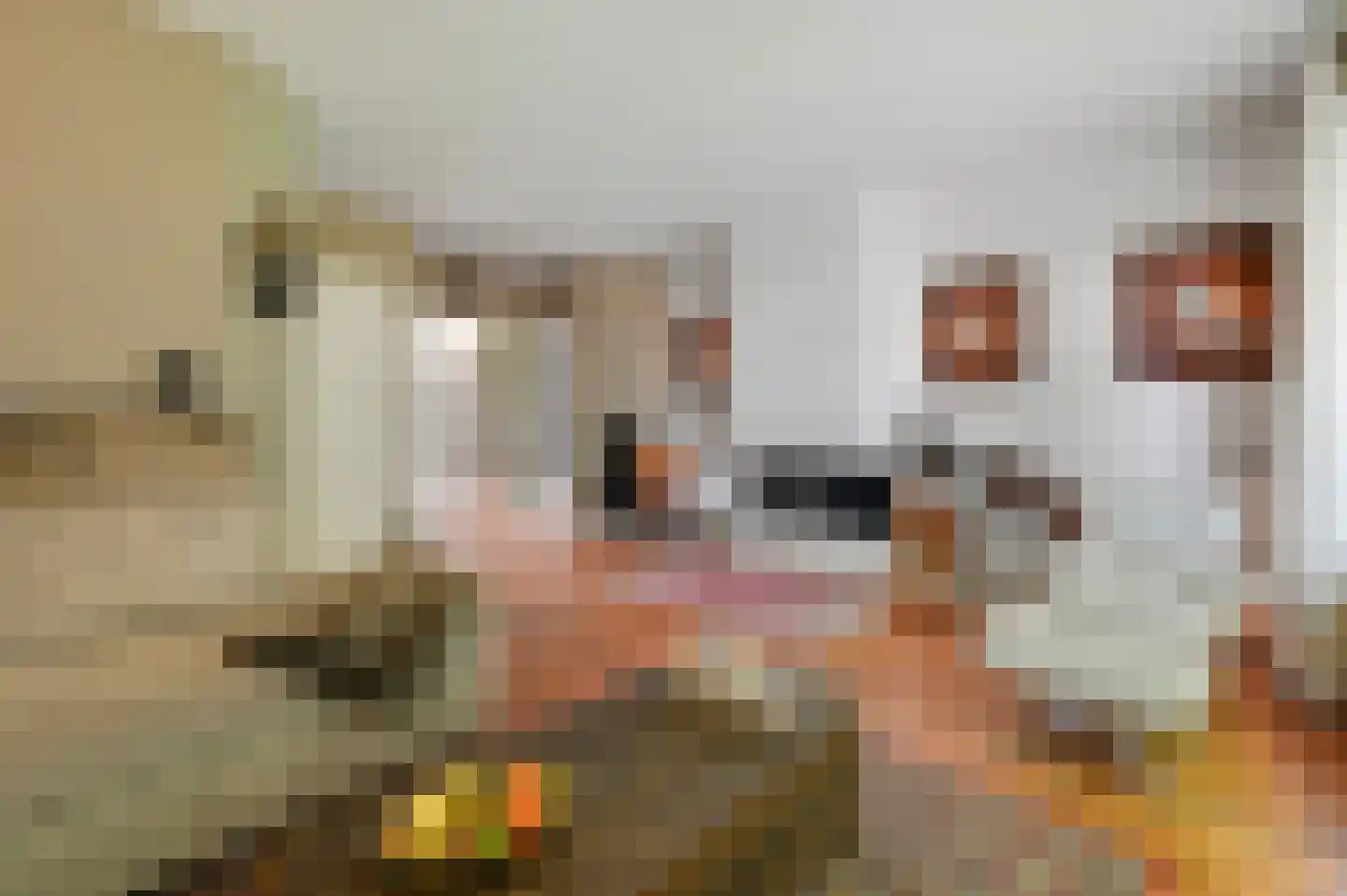Koningin Julianalaan 36 Voorburg thumbnail 11