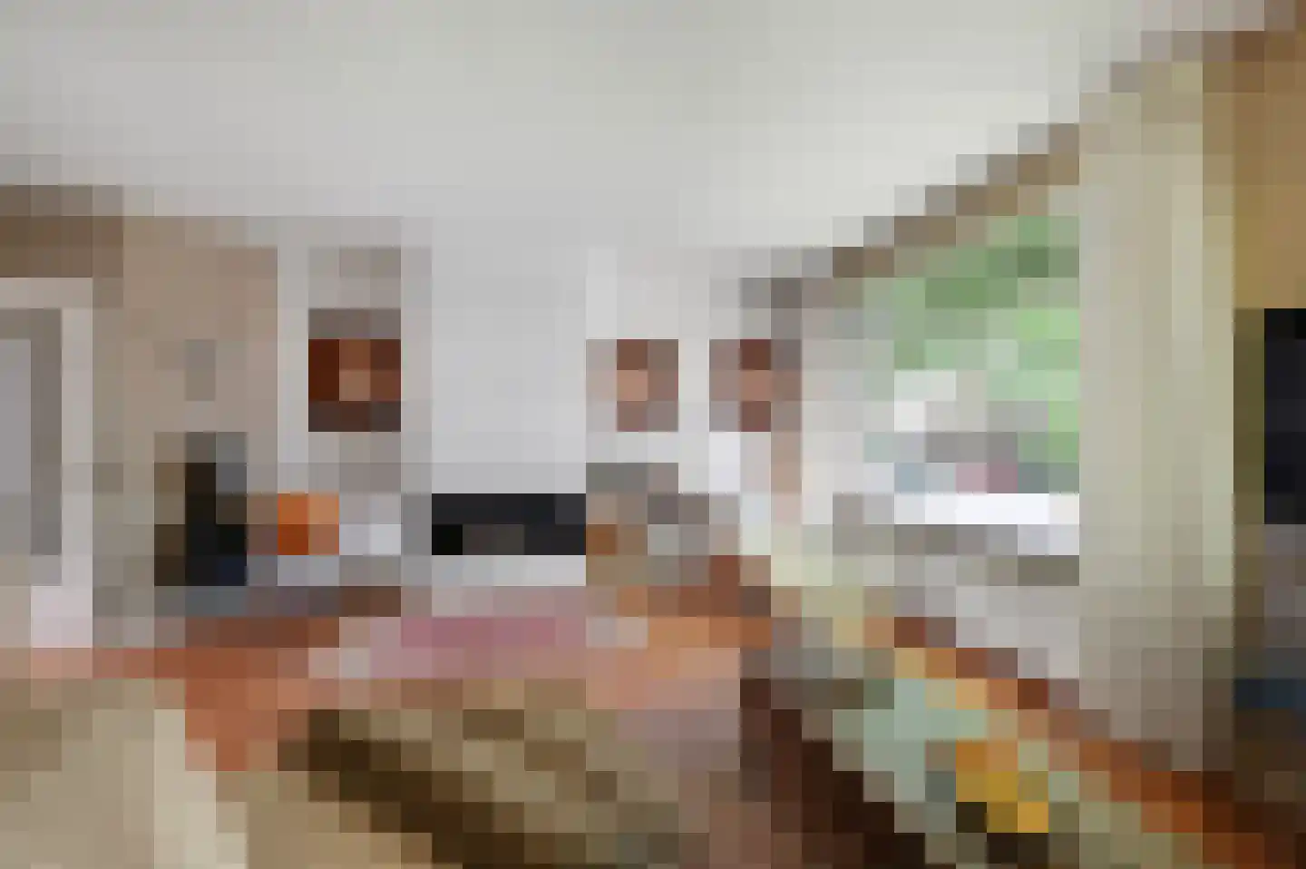 Koningin Julianalaan 36 Voorburg thumbnail 12