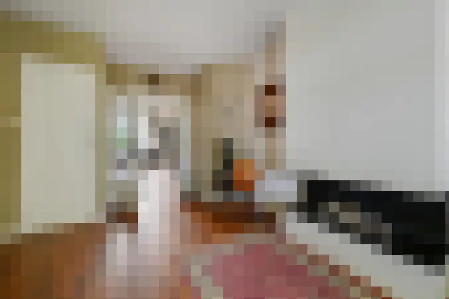 Koningin Julianalaan 36 Voorburg thumbnail 14