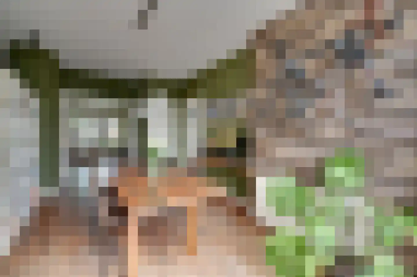 Koningin Julianalaan 36 Voorburg thumbnail 16