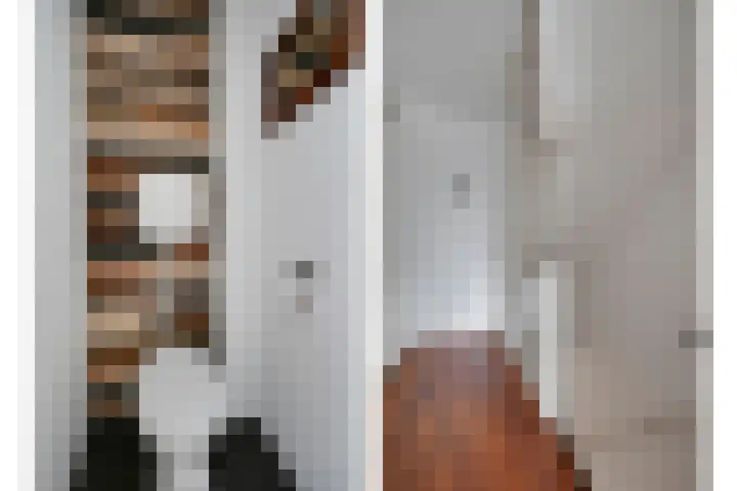 Koningin Julianalaan 36 Voorburg thumbnail 18