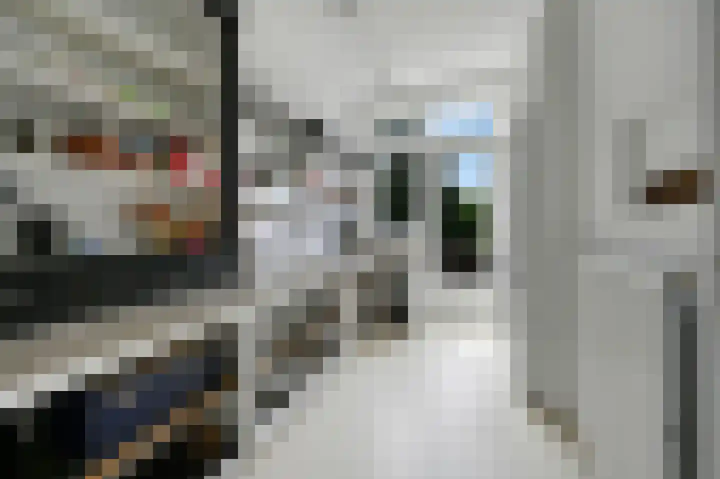 Koningin Julianalaan 36 Voorburg thumbnail 21