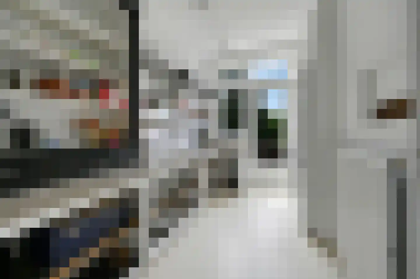 Koningin Julianalaan 36 Voorburg thumbnail 21