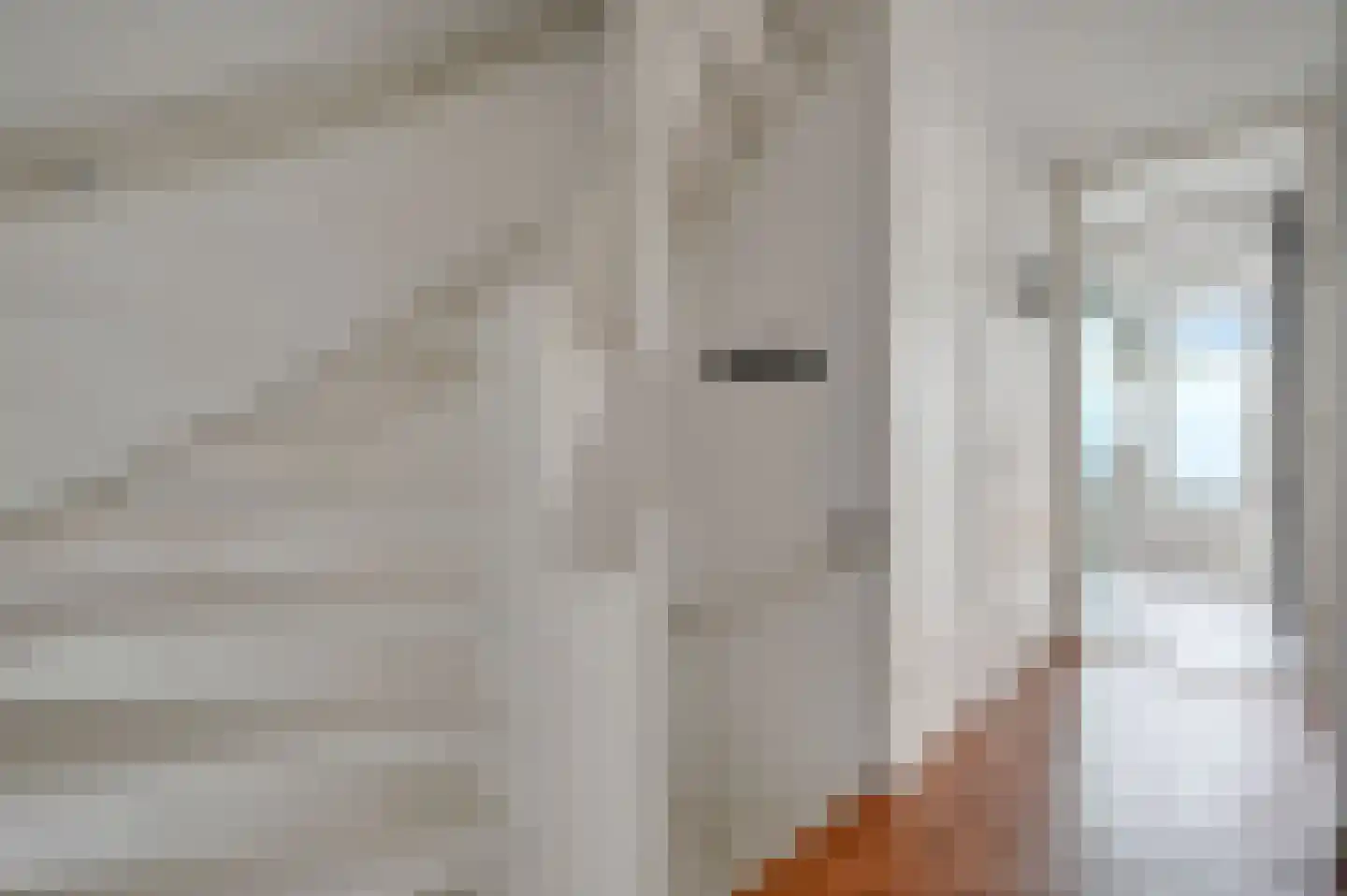 Koningin Julianalaan 36 Voorburg thumbnail 25