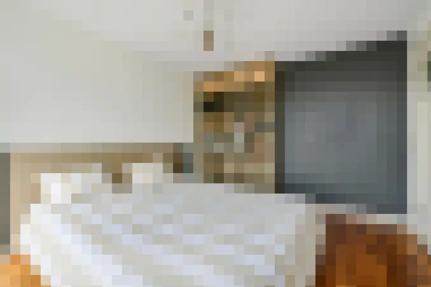 Koningin Julianalaan 36 Voorburg thumbnail 28