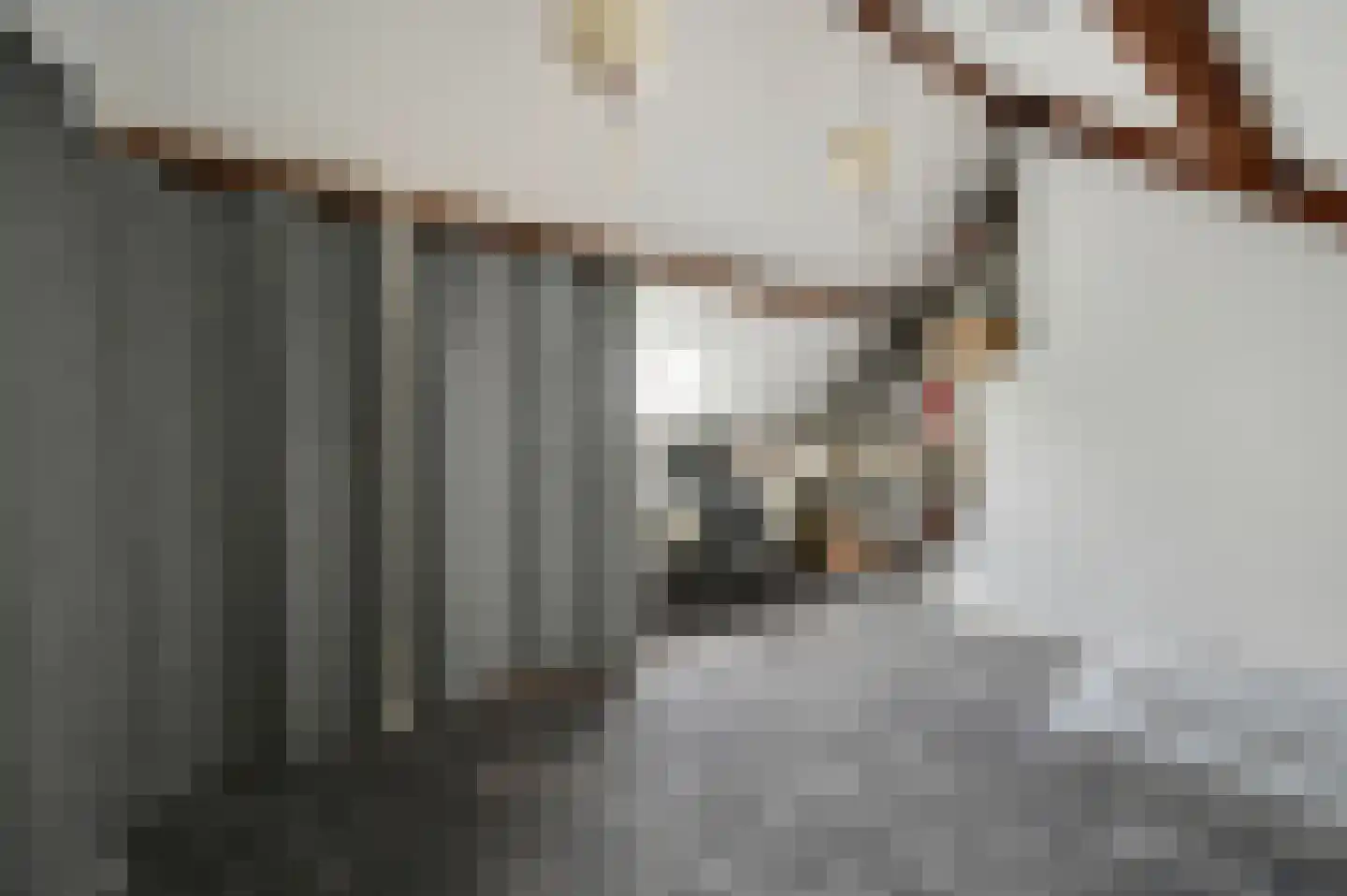 Koningin Julianalaan 36 Voorburg thumbnail 39