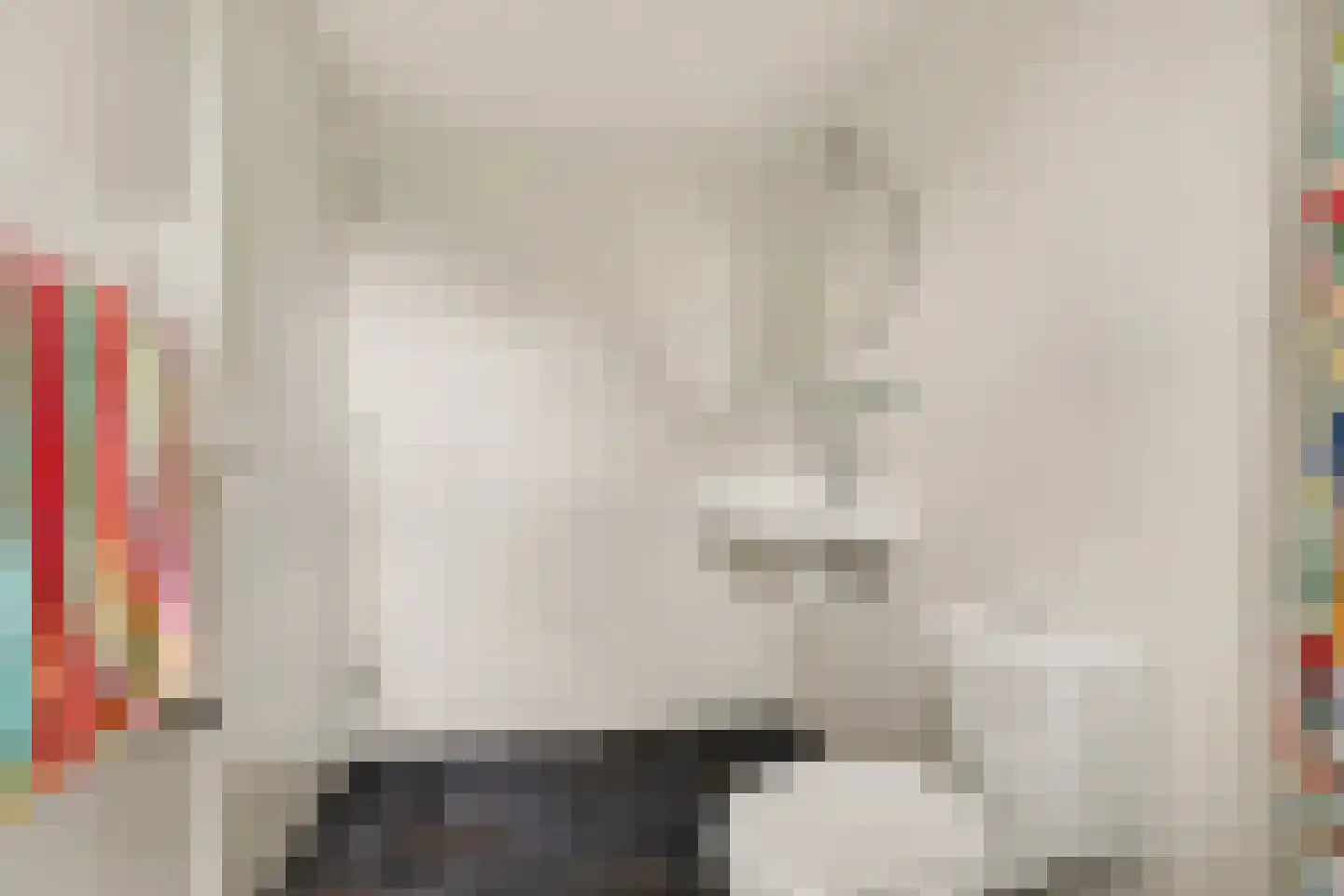 Koningin Julianalaan 39 Steenderen thumbnail 14