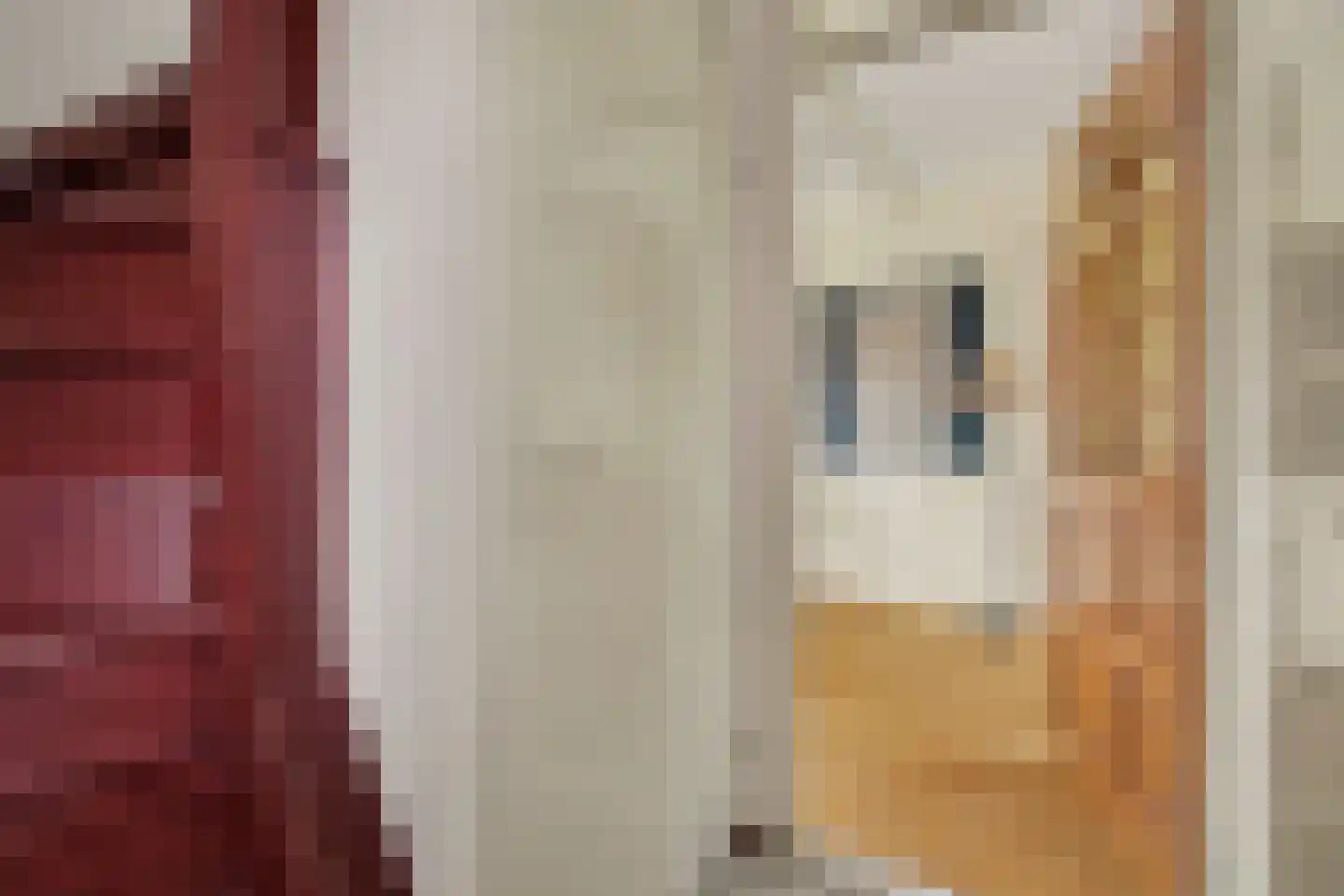 Koningin Julianalaan 39 Steenderen thumbnail 4
