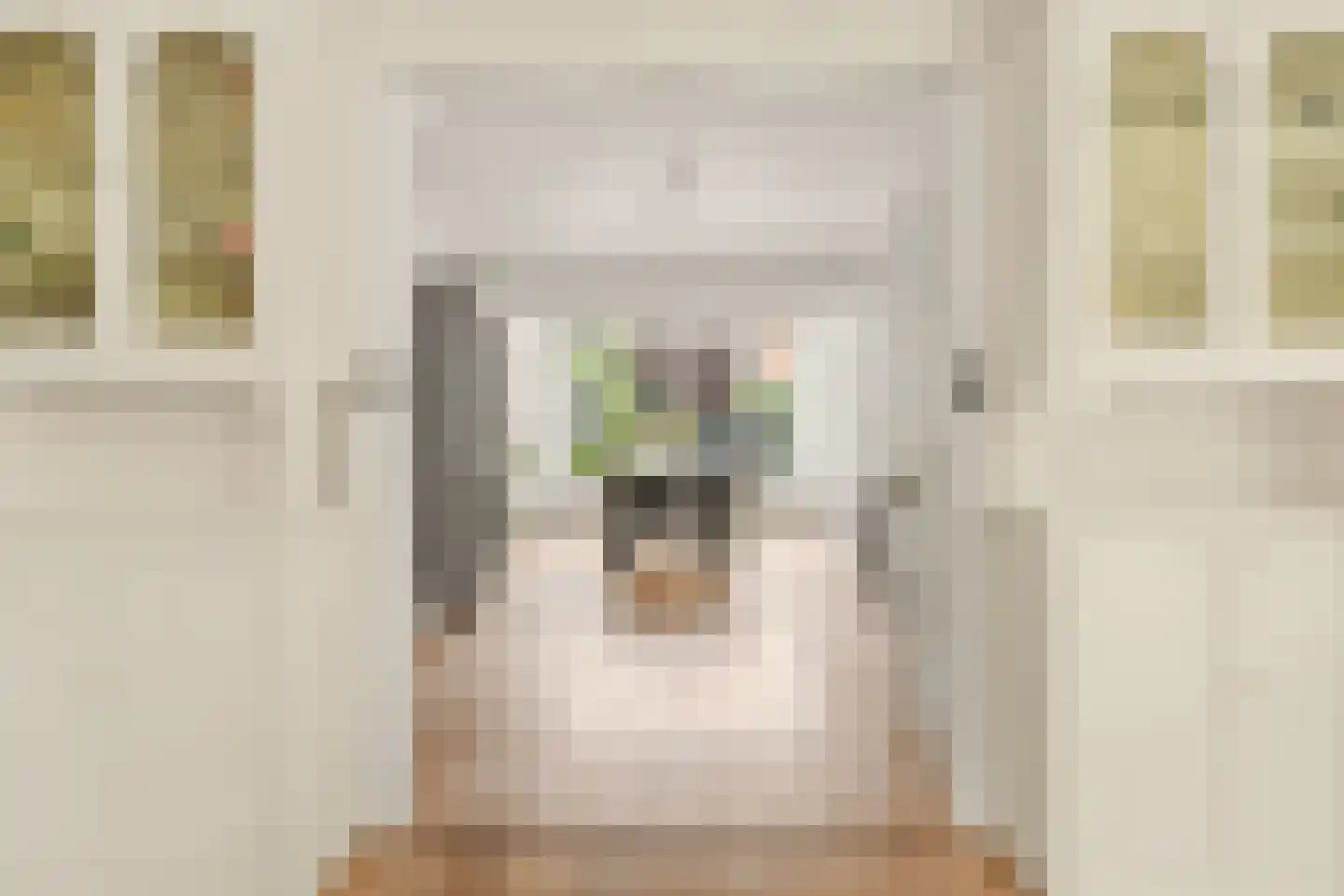 Koningin Julianalaan 4 Bunnik thumbnail 10