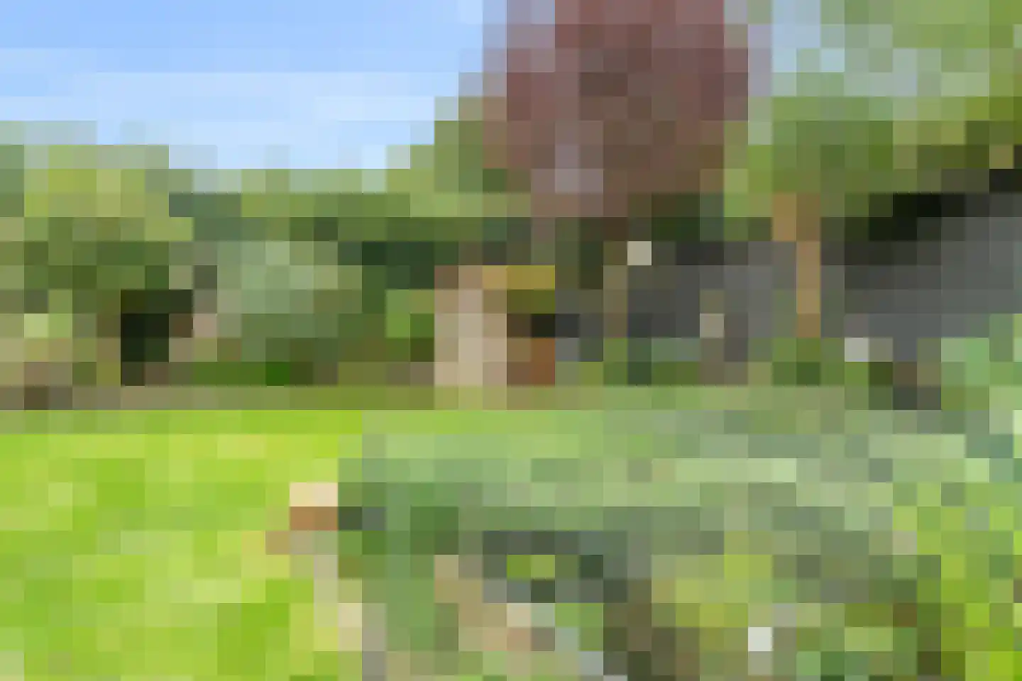 Koningin Julianalaan 4 Bunnik thumbnail 30
