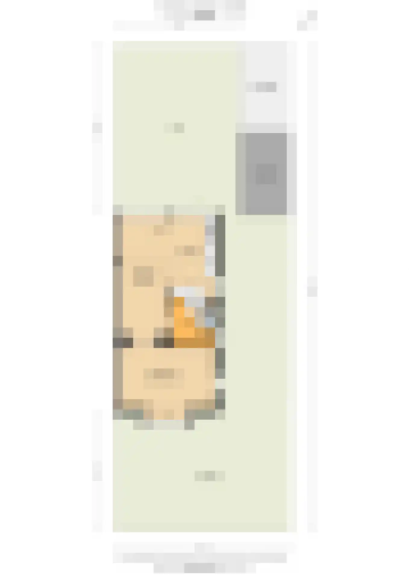 Koningin Julianalaan 4 Bunnik thumbnail 39