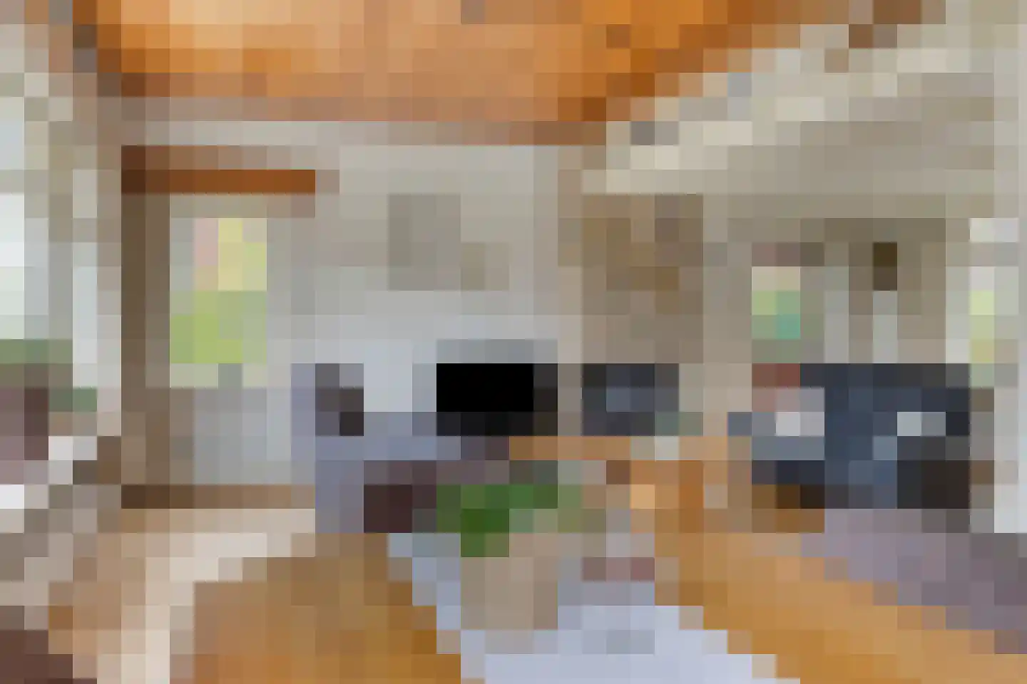 Koningin Julianalaan 4 Varsseveld thumbnail 18