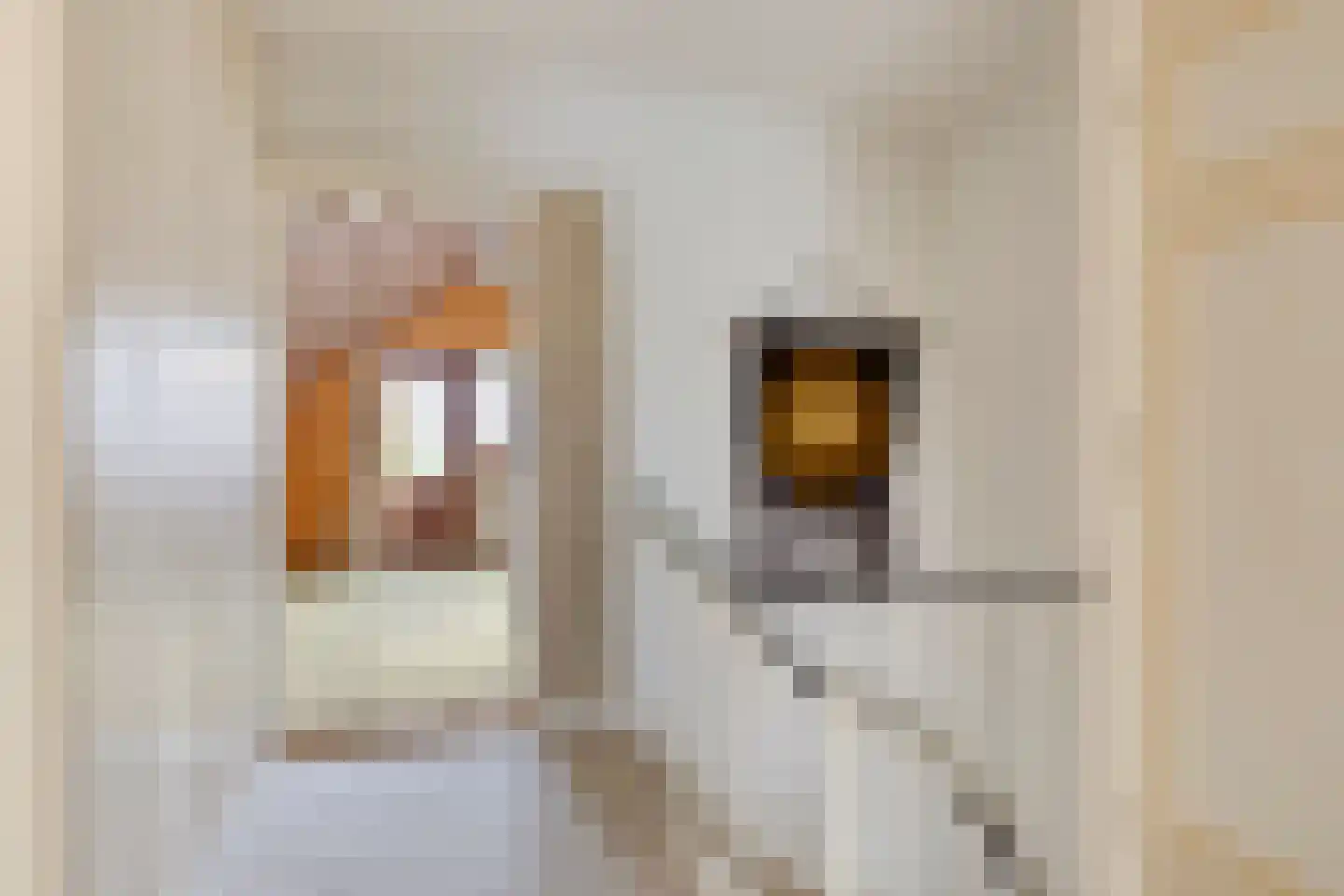 Koningin Julianalaan 4 Varsseveld thumbnail 27