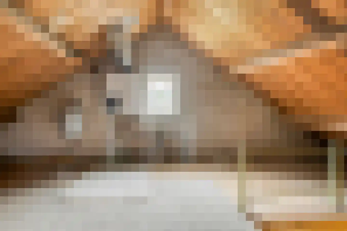 Koningin Julianalaan 4 Varsseveld thumbnail 36