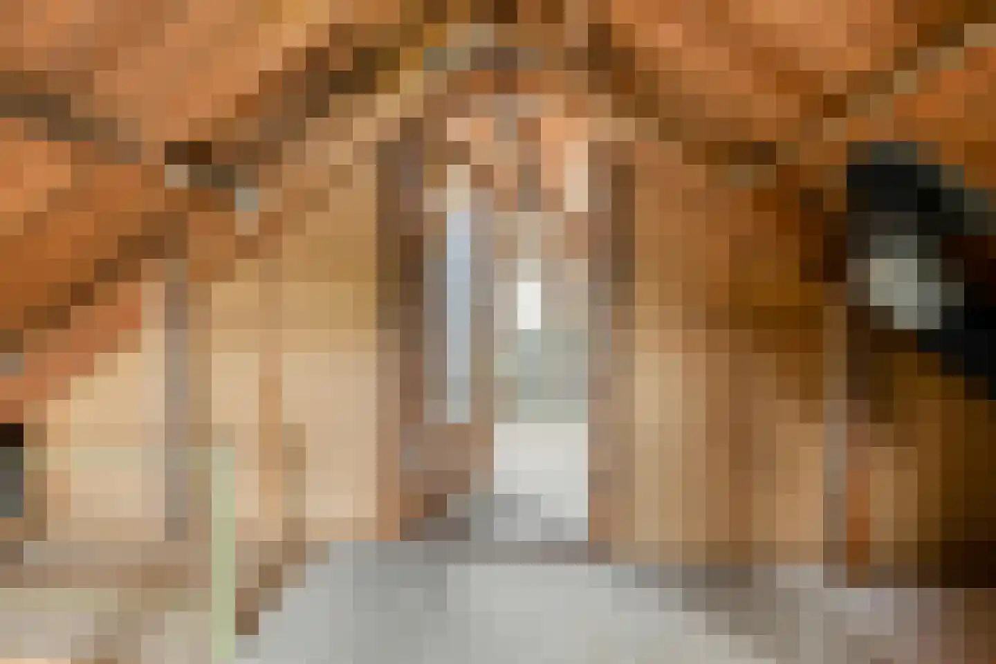 Koningin Julianalaan 4 Varsseveld thumbnail 37
