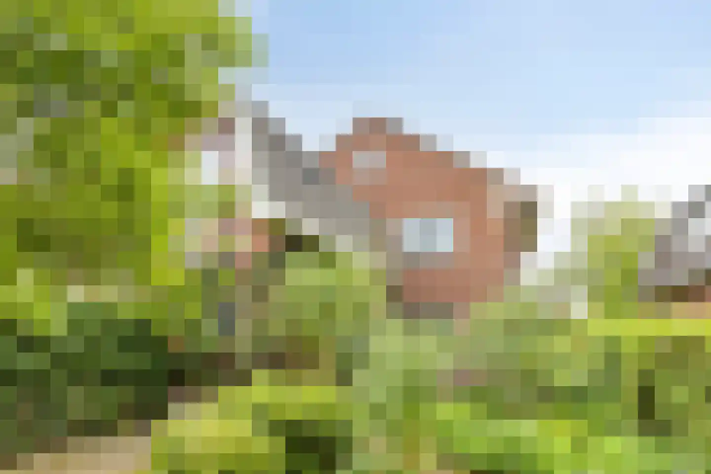 Koningin Julianalaan 4 Varsseveld thumbnail 41