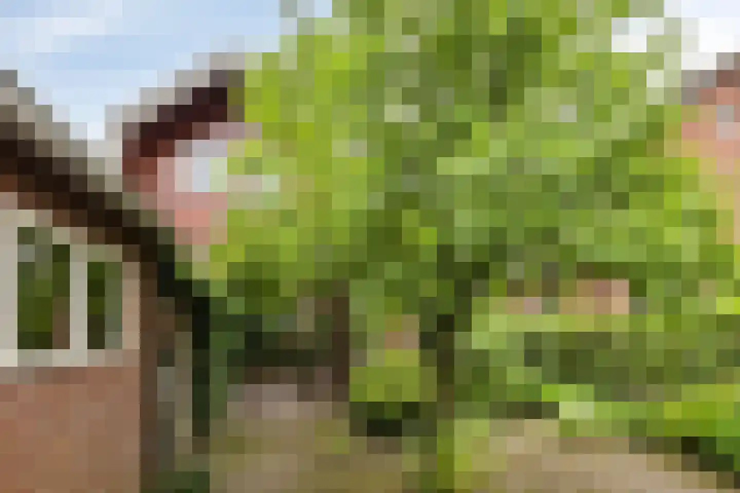 Koningin Julianalaan 4 Varsseveld thumbnail 42