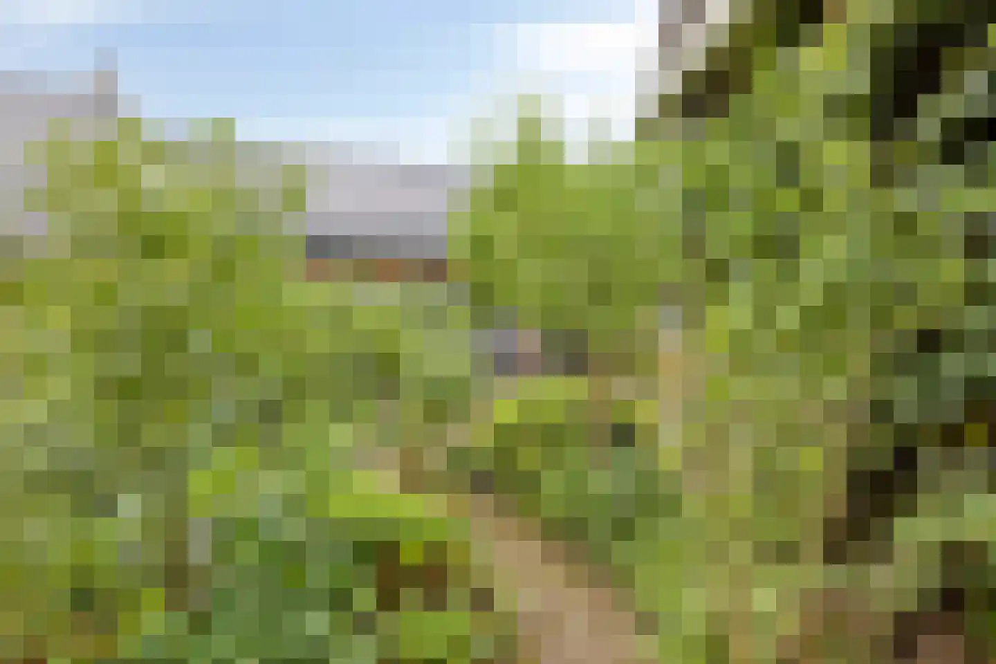 Koningin Julianalaan 4 Varsseveld thumbnail 43
