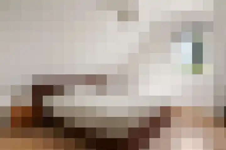 Koningin Julianalaan 42 Ouderkerk aan de Amstel thumbnail 22