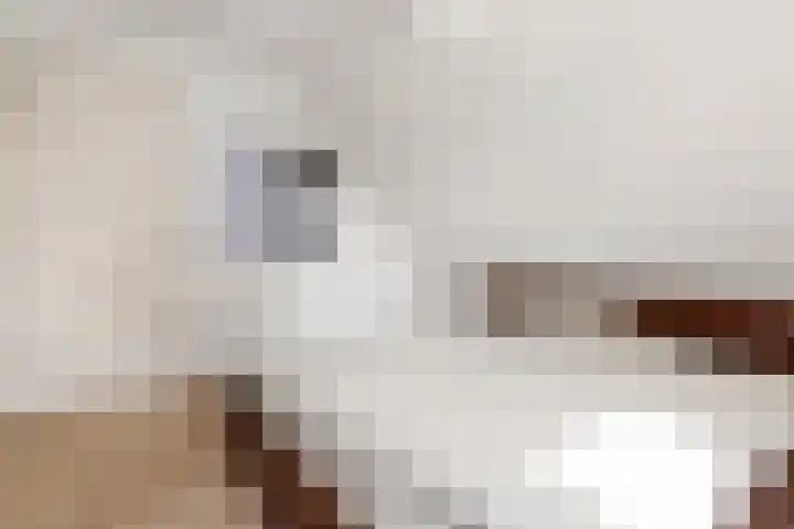Koningin Julianalaan 42 Ouderkerk aan de Amstel thumbnail 23